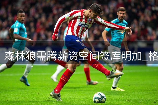 森林狼需腾薪资空间签库明加 格林或成交易对象