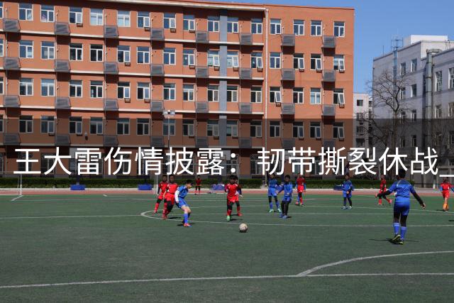 王大雷伤情披露：韧带撕裂休战 泰山门将位置面临考验
